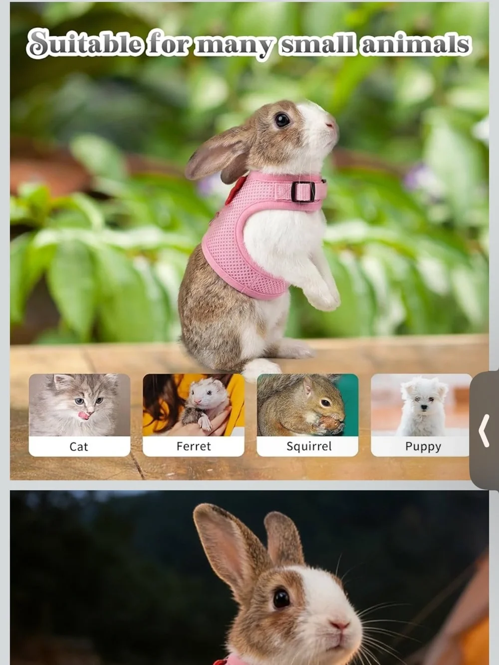 Pink Mesh Pet Harness with Bow - Attle